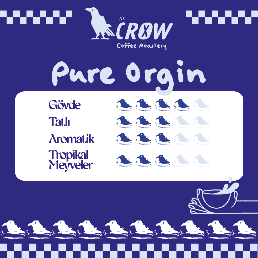 Pure Origin %100 Arabica Filtre Kahve Blend - 250Gr