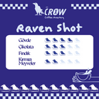 Raven Shot %100 Arabica Filtre Kahve Blend - 250Gr