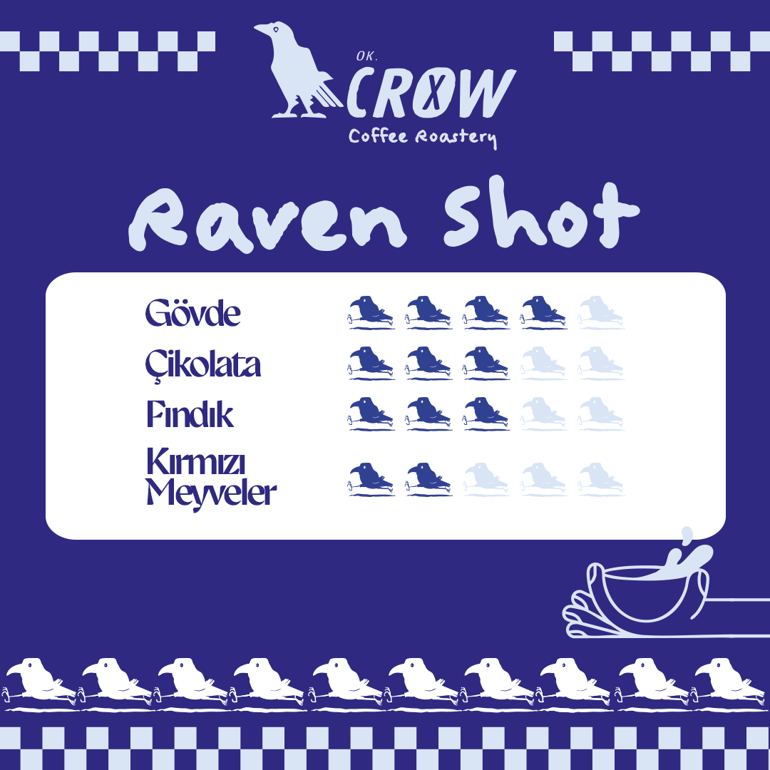 Raven Shot %100 Arabica Filtre Kahve Blend - 250Gr