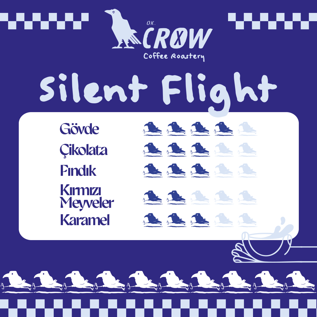 Slinet Flight %100 Arabica Filtre Kahve Blend - 250Gr